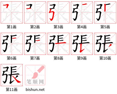 張筆畫多少|張字笔画、笔顺、笔划